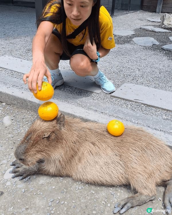 ✈️快閃5天台北之旅👨‍👧‍👧