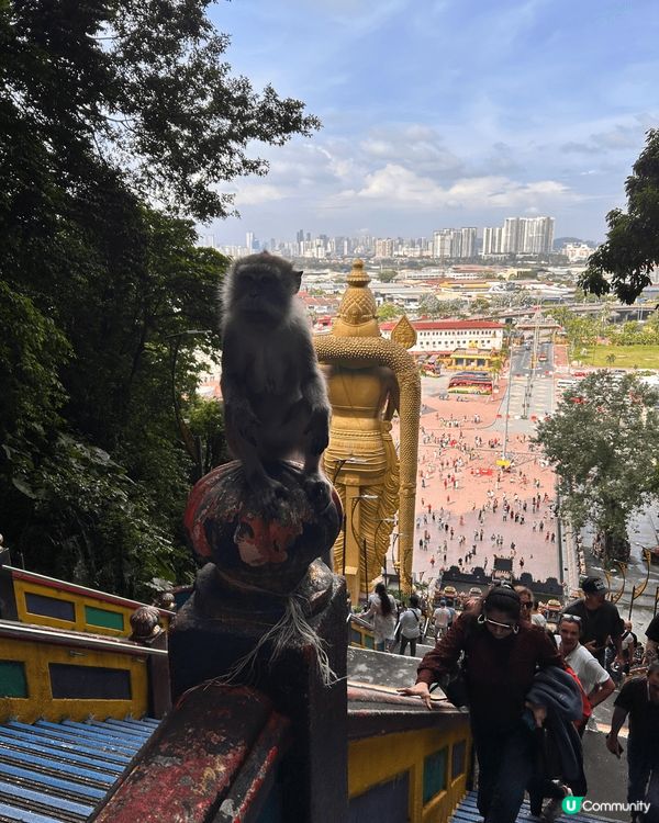 馬來西亞黑風洞，當日同家人一齊行過百幾級樓梯先上到頂，沿途有...