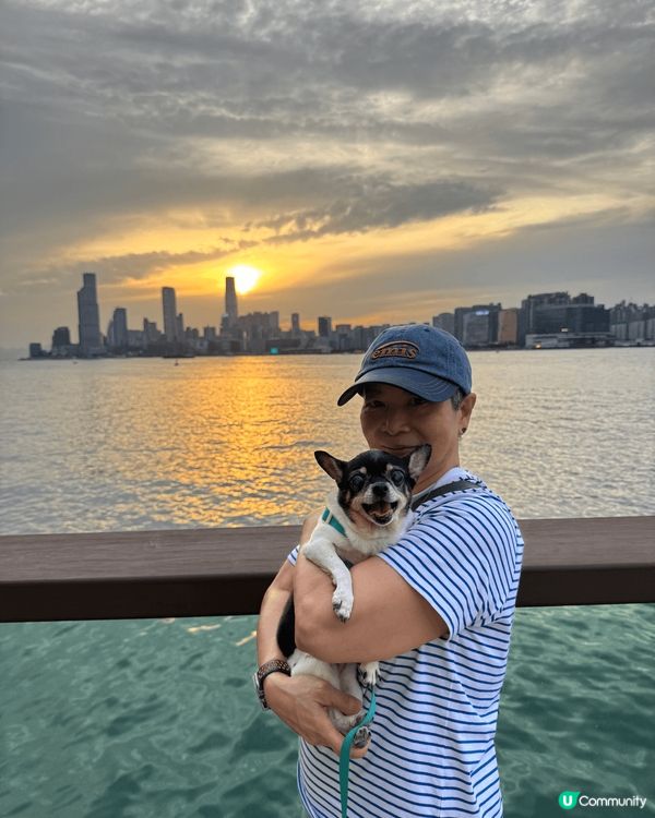 帶狗狗生活情趣