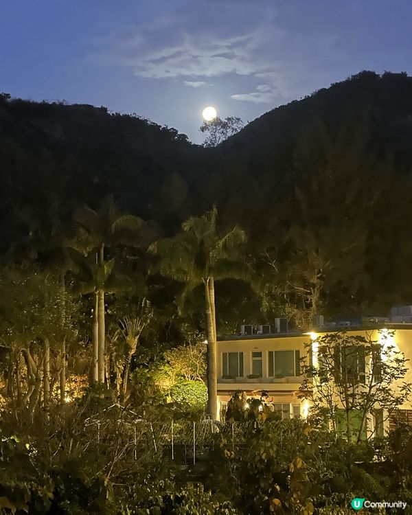 深水灣道位處半山，四處可以影到山景，晚上賞月一流。