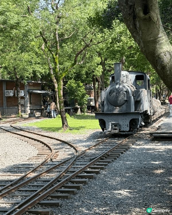 宜蘭。 羅東林業文化園區環境清新優美，有幾架古舊歴史火車又有...
