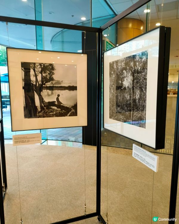 中央圖書館熱帶雨林攝影展📸🌴！比利時國王親自操刀！👑