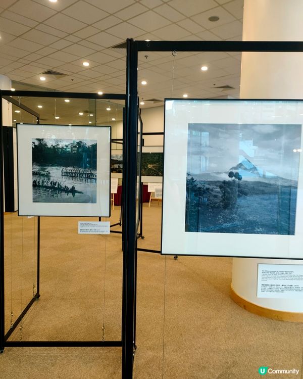 中央圖書館熱帶雨林攝影展📸🌴！比利時國王親自操刀！👑