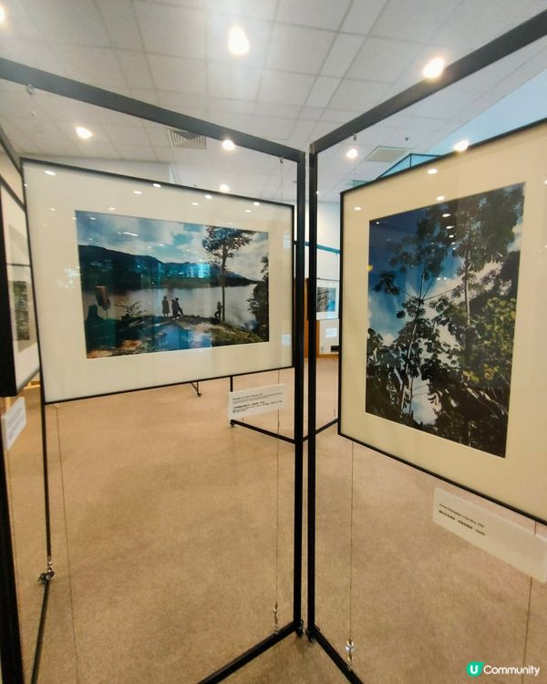 中央圖書館熱帶雨林攝影展📸🌴！比利時國王親自操刀！👑