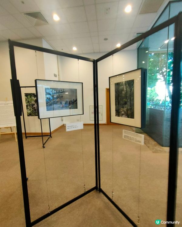 中央圖書館熱帶雨林攝影展📸🌴！比利時國王親自操刀！👑