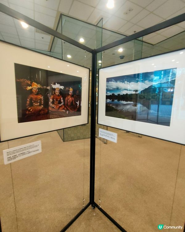 中央圖書館熱帶雨林攝影展📸🌴！比利時國王親自操刀！👑