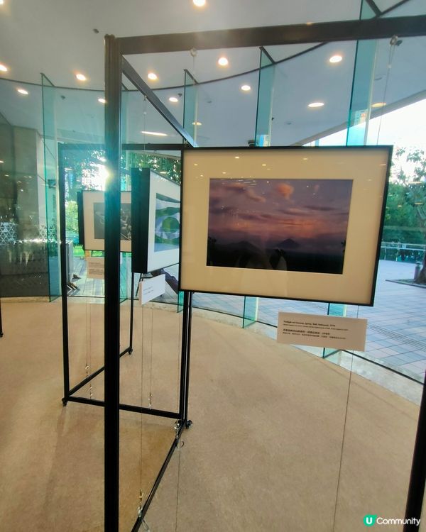 中央圖書館熱帶雨林攝影展📸🌴！比利時國王親自操刀！👑