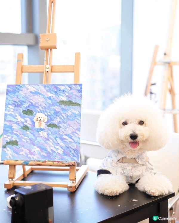 北角樓上無限時 art jam 寵物友善好去處