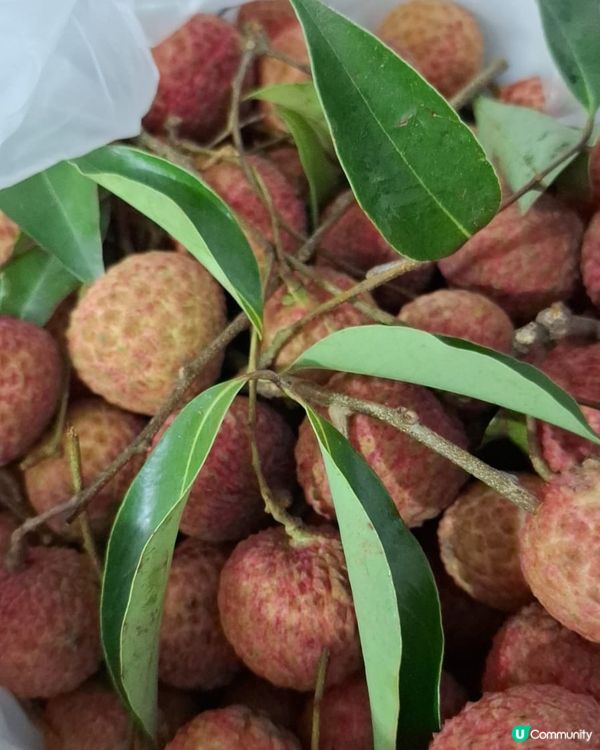 歡迎關注我嘅戶口､訂閱我嘅YouTube頻道, follow...