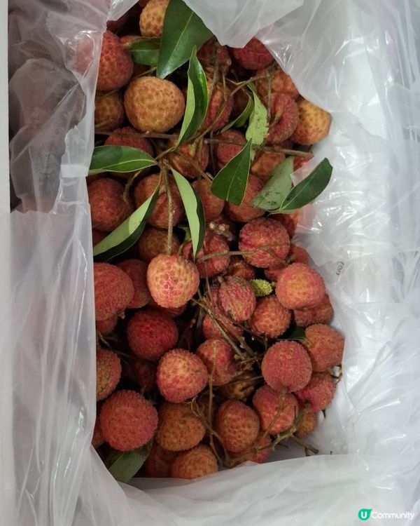 歡迎關注我嘅戶口､訂閱我嘅YouTube頻道, follow...