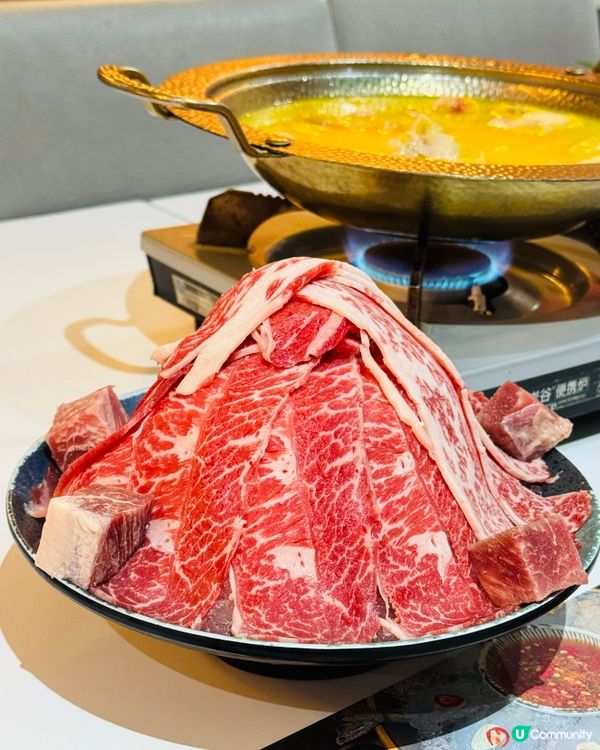 一本食堂·足料花膠雞無限時打邊爐👍🏻