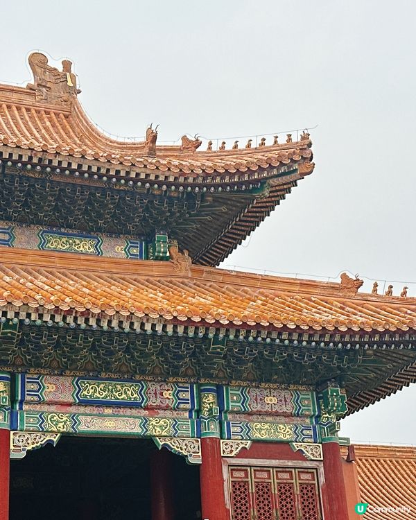 北京故宮打卡📸！紅牆金瓦超震撼🤩！內文附設非常詳細故宮攻略🫰🏻