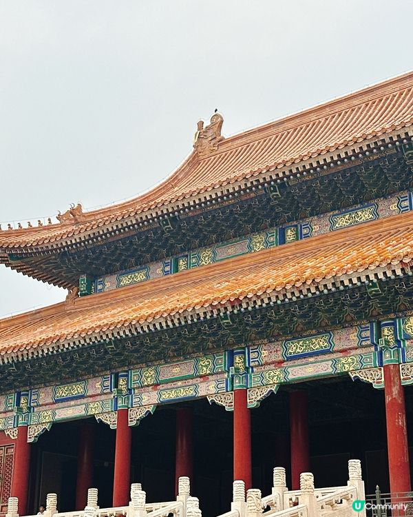 北京故宮打卡📸！紅牆金瓦超震撼🤩！內文附設非常詳細故宮攻略🫰🏻