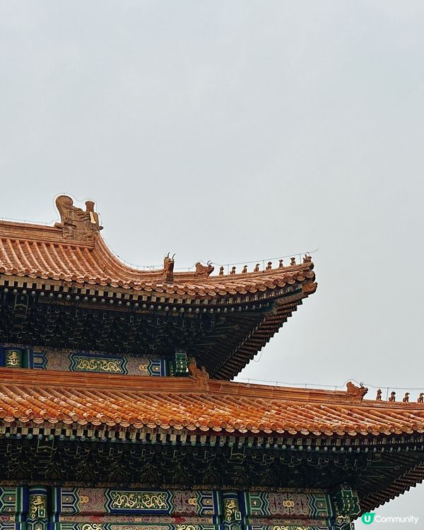 北京故宮打卡📸！紅牆金瓦超震撼🤩！內文附設非常詳細故宮攻略🫰🏻