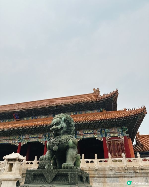 北京故宮打卡📸！紅牆金瓦超震撼🤩！內文附設非常詳細故宮攻略🫰🏻