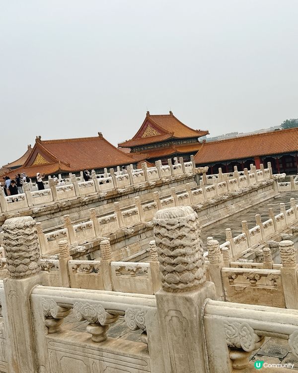 北京故宮打卡📸！紅牆金瓦超震撼🤩！內文附設非常詳細故宮攻略🫰🏻