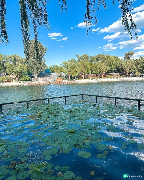 落日什剎海，遊走北京老胡同🎈