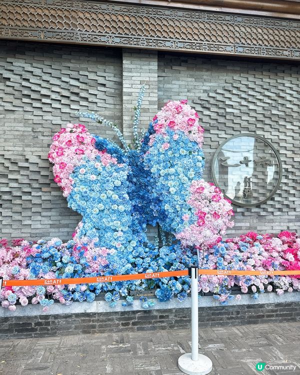 落日什剎海，遊走北京老胡同🎈