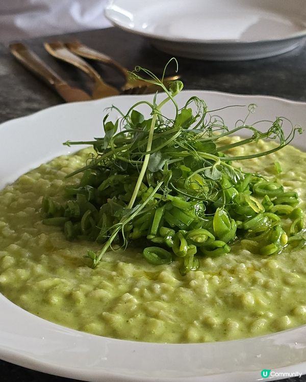 青豆意粉🌿 vs 漢堡薯條🍔！多倫多美食之旅🤤