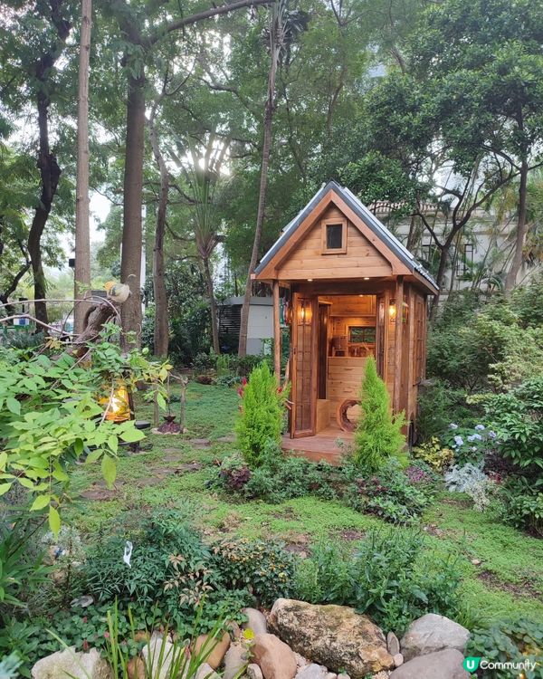 香港公園雀仔仔超萌！😍 影相打卡一流！📸