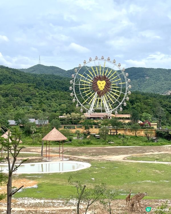 全新亮點搶先看｜清遠長隆森林王國 2025 必玩推薦