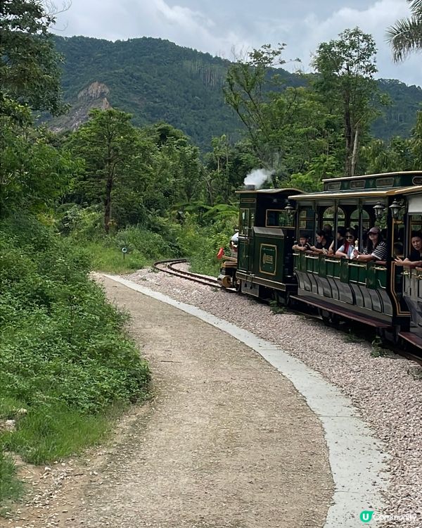 全新亮點搶先看｜清遠長隆森林王國 2025 必玩推薦