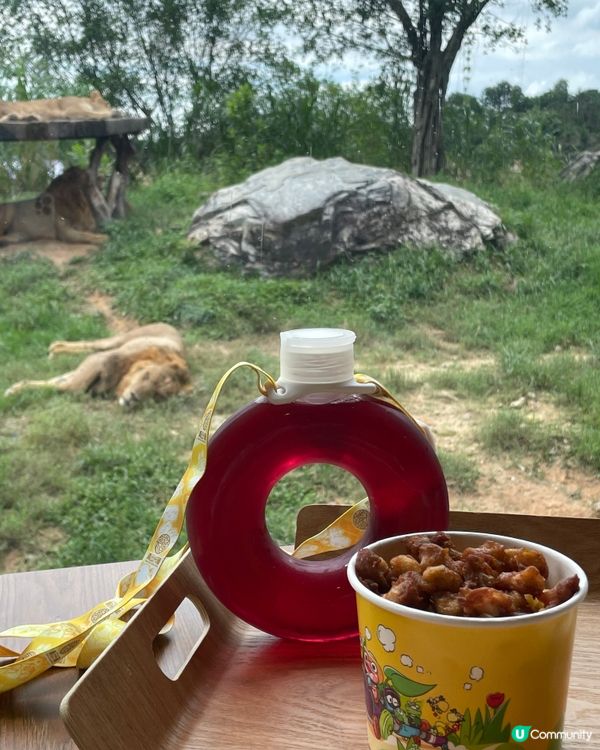 全新亮點搶先看｜清遠長隆森林王國 2025 必玩推薦