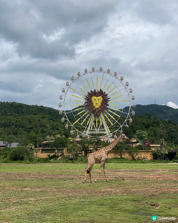 全新亮點搶先看｜清遠長隆森林王國 2025 必玩推薦