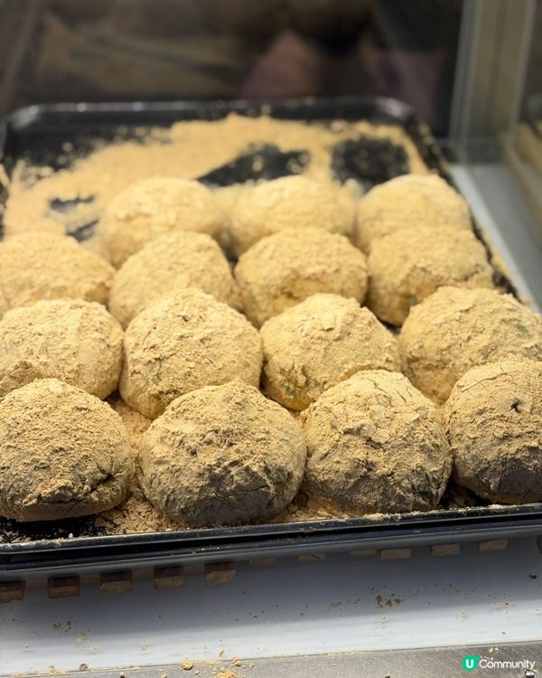 🇰🇷韓國江陵旅行‼️人氣奶油包專門店💯江陵빵다방 試食分享‼️