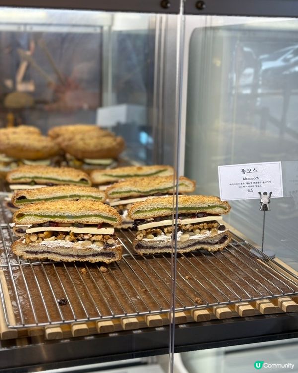 🇰🇷韓國江陵旅行‼️人氣奶油包專門店💯江陵빵다방 試食分享‼️