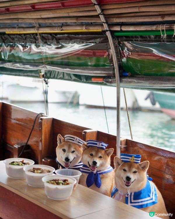 / 帶毛孩食艇仔粉 \