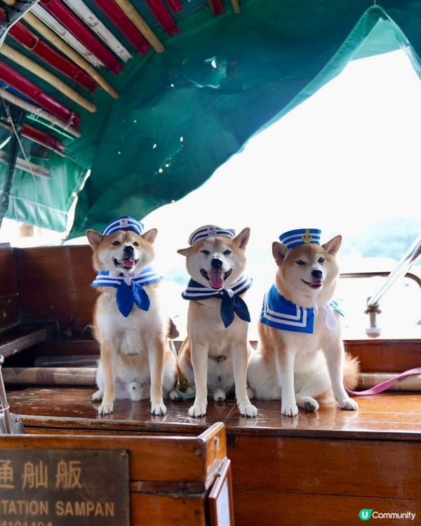 / 帶毛孩食艇仔粉 \