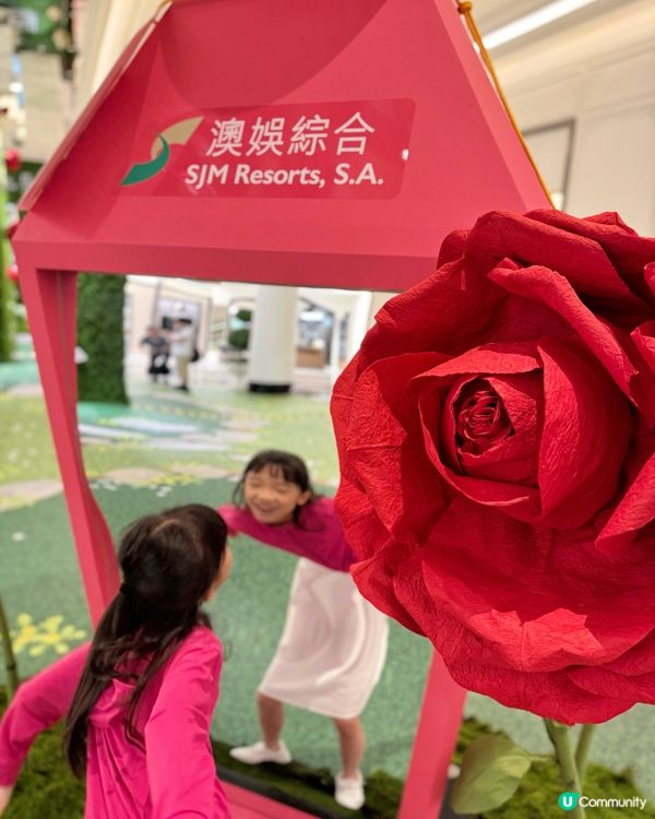 🔸愛麗絲夢遊仙境主題佈置來了🔸