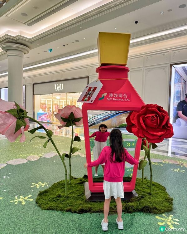 🔸愛麗絲夢遊仙境主題佈置來了🔸