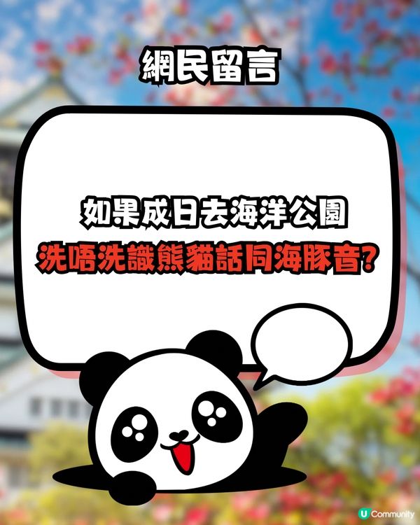 網民質問惹熱議：香港人連50音都唔識！自稱日本係鄉下？ 