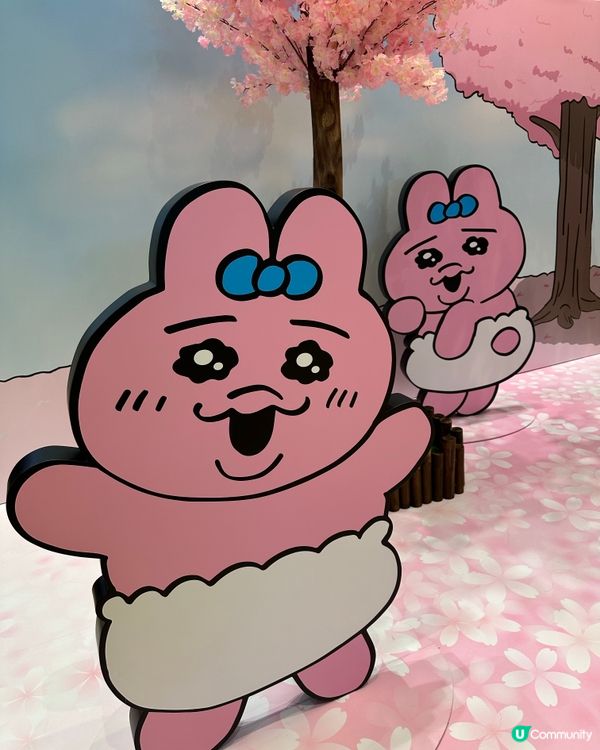 Opanchu Usagi 嚟香港喇！