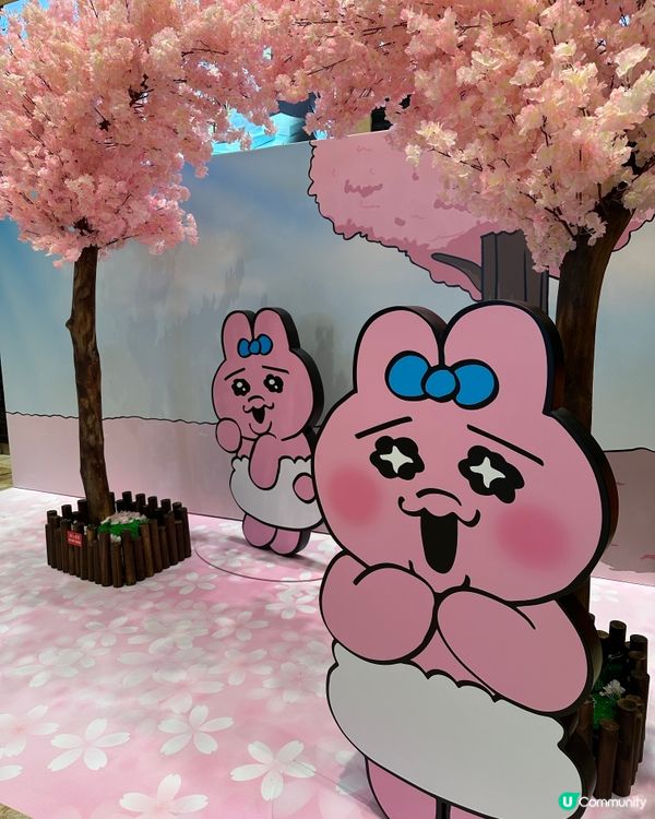 Opanchu Usagi 嚟香港喇！