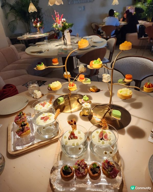 五時花的引力🌹