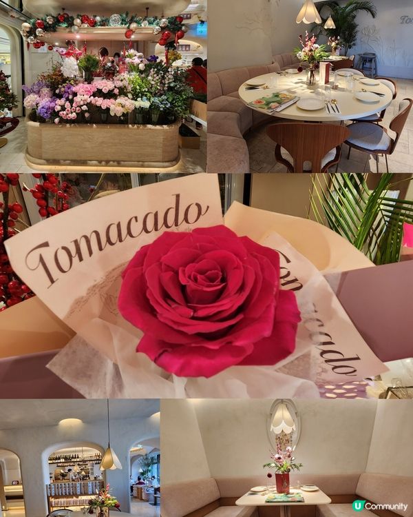 五時花的引力🌹