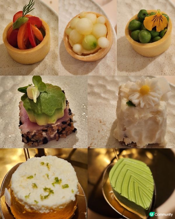 五時花的引力🌹