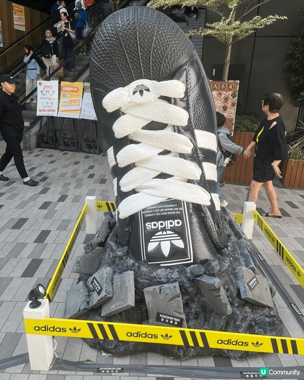 嘩嘩嘩嘩，幾可會見到咁大隻波鞋，同人咁高， Adidas嘅粉...
