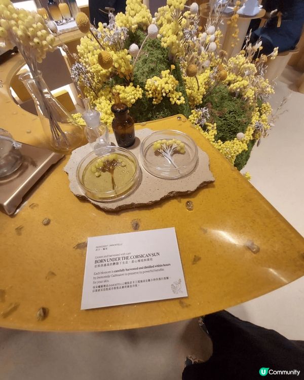 今天約左loccitane 推廣會我約下午6点去到叫聽佢介紹...