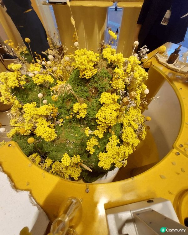 今天約左loccitane 推廣會我約下午6点去到叫聽佢介紹...