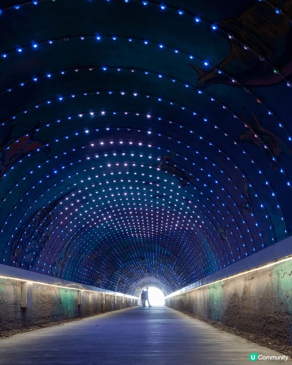 旗津一天遊！！早幾年曾到訪高雄，卻沒有時間到旗津，今次終於排...