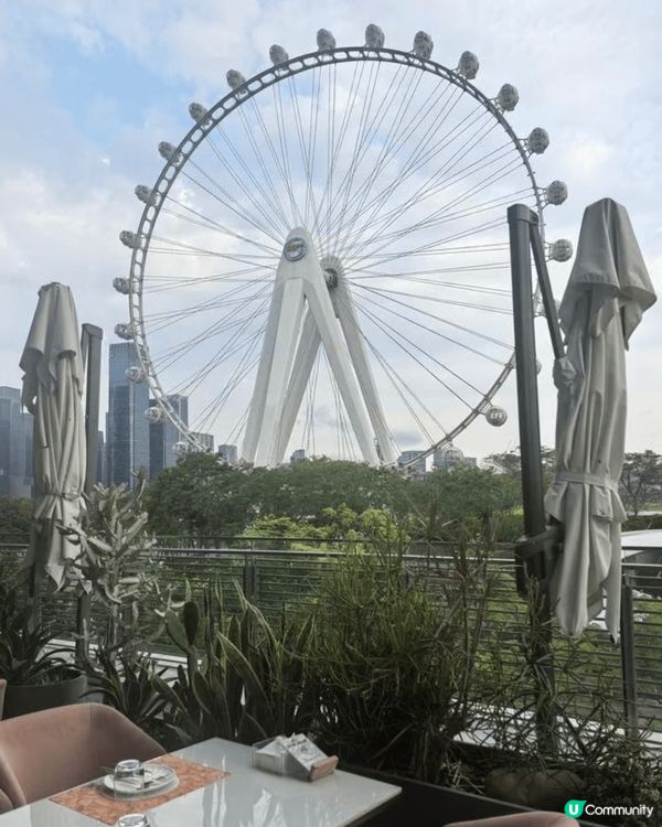 週日同朋友去了深圳歡樂港灣的MetPetal,餐廳環境優雅,...