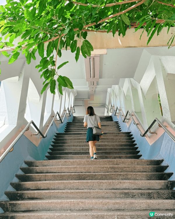 牛頭角志明天橋，很久前已想在這裡打卡，終於天氣好，來這邊吃飯...