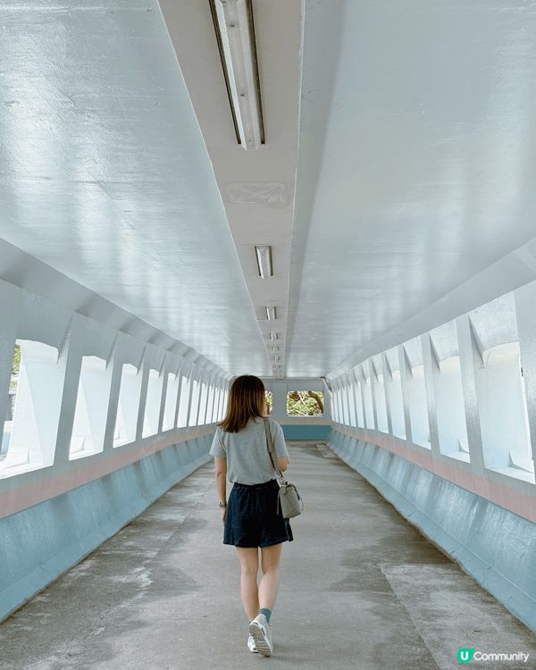 牛頭角志明天橋，很久前已想在這裡打卡，終於天氣好，來這邊吃飯...