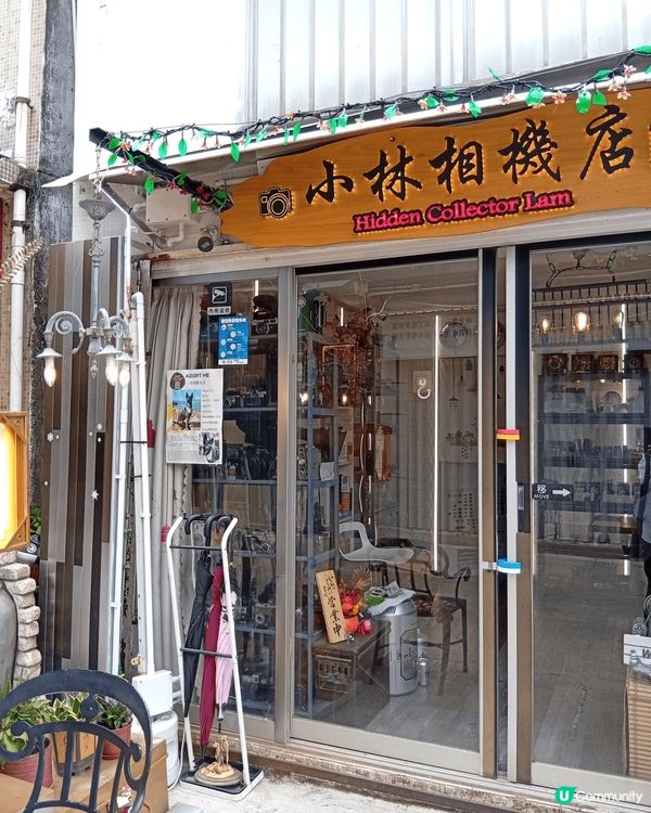 坪洲是純樸恬靜的小島，非常適合周末來一個遠離煩囂的快閃遊，最...