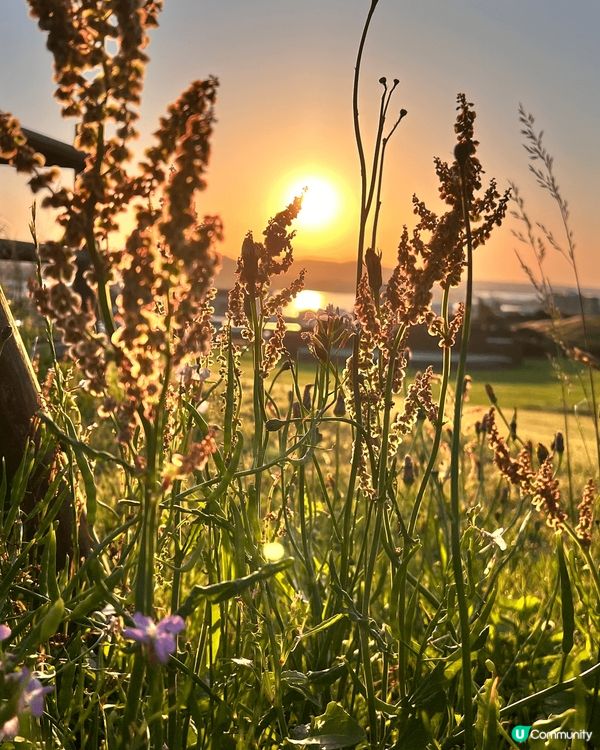 🌄 濟洲島 • 城山日出峰