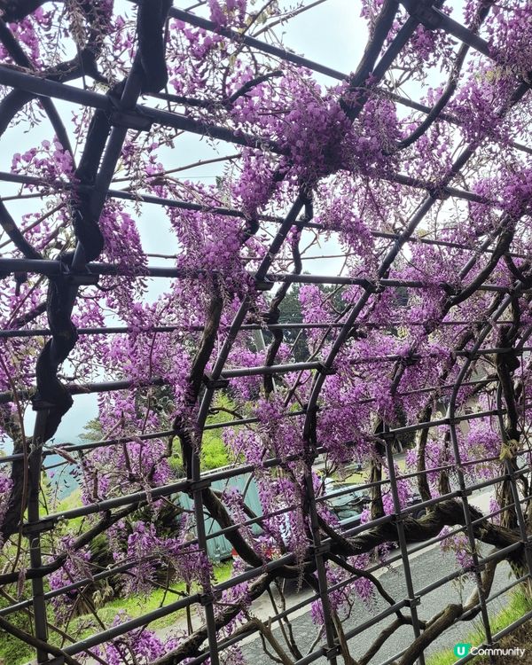 福崗真係一個好靚嘅旅遊地方！嗰度有個水簇館，入面有好多恐龍化...